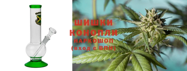 ECSTASY Белокуриха