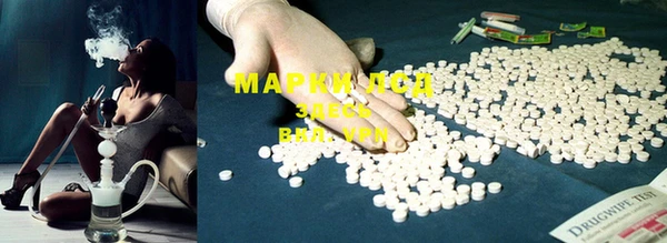 ECSTASY Белокуриха