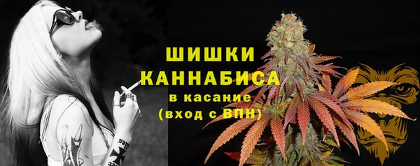 ECSTASY Белокуриха