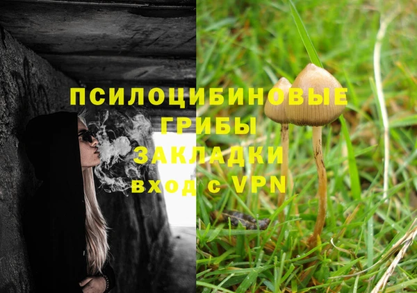 мдпв Беломорск