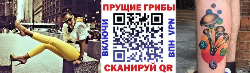 KRAKEN онион  Жердевка  Псилоцибиновые грибы мицелий 